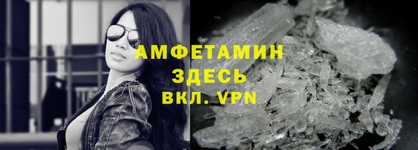 индика Вязьма