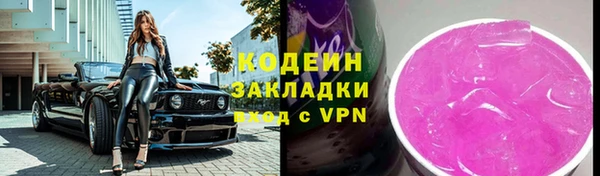 индика Вязьма