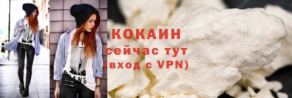 индика Вязьма