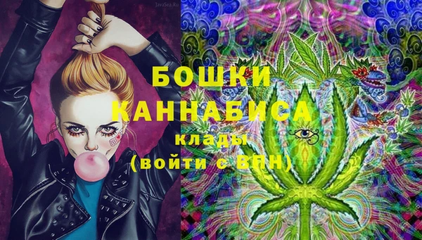 гашик Вязники