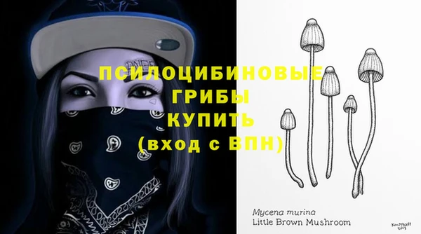 MESCALINE Вяземский