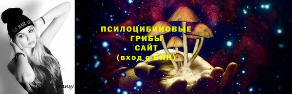 индика Вязьма