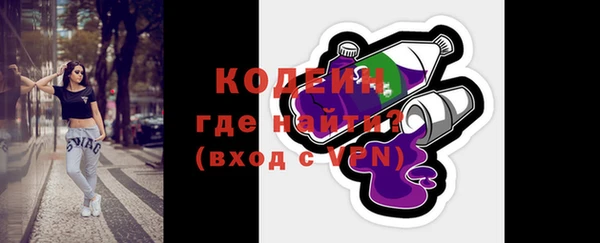 индика Вязьма