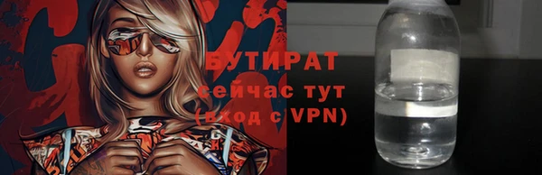 индика Вязьма