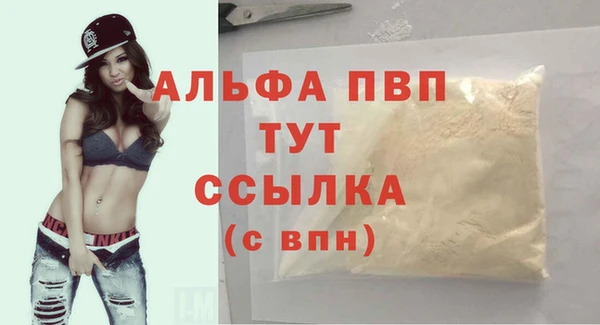 гашик Вязники