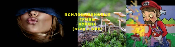 MESCALINE Вяземский
