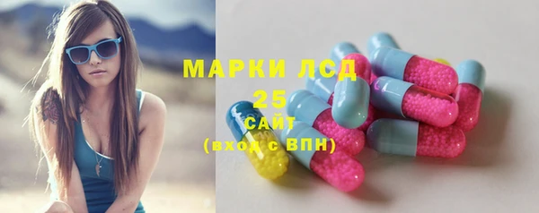 индика Вязьма