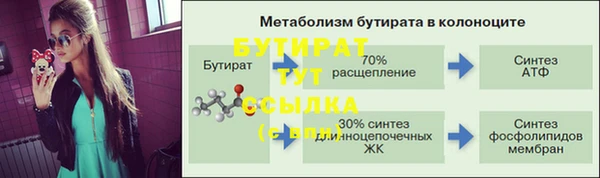 индика Вязьма