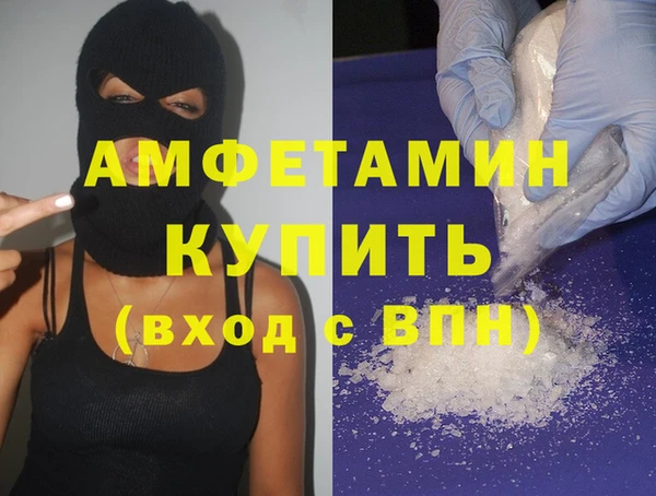 индика Вязьма