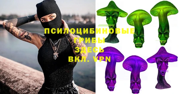 индика Вязьма