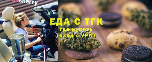 индика Вязьма
