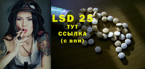 индика Вязьма