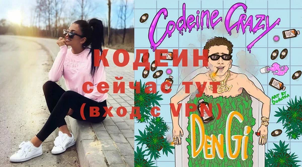 индика Вязьма